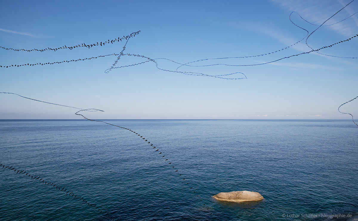 AIRLINES XIV-12 · Mehlschwalben über der Bucht von Pomonte · Elba · 3:10 Minuten