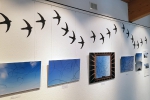 AIRLINES · Vogelspuren in der Luft · Iskiographien von Lothar Schiffler, Sonderausstellung im Haus der Natur, Feldberg, Schwarzwald