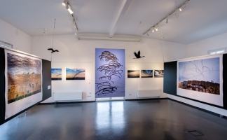 AIRLINES - Vogelspuren in der Luft, Ausstellung im Naturschutzzentrum Eriskirch